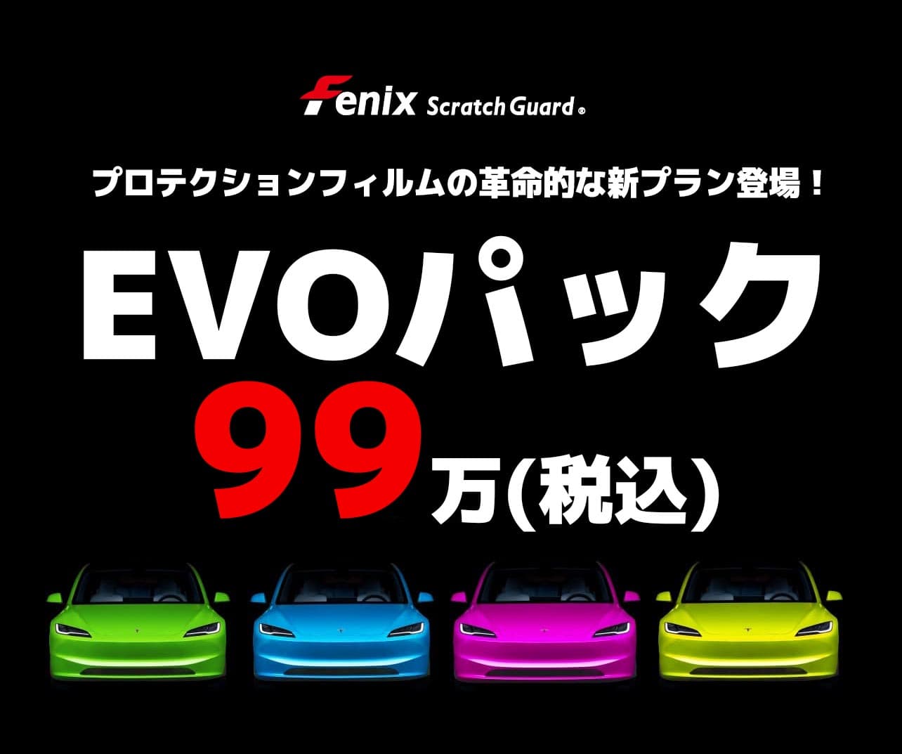 Fenix ScratchGuardプロテクションフィルム施工可能箇所